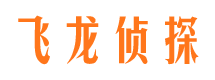 炎陵侦探公司